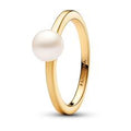 14k Gold-plated ring with white treated 163157C01-48