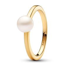 14k Gold-plated ring with white treated 163157C01-54