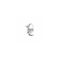 Herbarium cluster sterling silver ring with clear cubic zirconia 193023C01-56 (High Resolution)