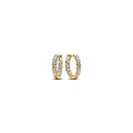 14k Gold-plated hoop earrings with clear 263002C01 (High Resolution)