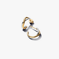 Organically shaped sterling silver and 1 263880C00 (High Resolution)