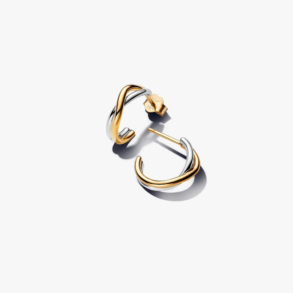 Organically shaped sterling silver and 1 263880C00 (High Resolution)