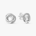 Encircled sterling silver stud earrings 291076C01 (High Resolution)