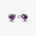 February Birthstone silver stud earrings 292334C02 (High Resolution)