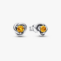 November Birthstone sterling silver stud 292334C04 (High Resolution)