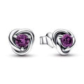February Birthstone silver stud earrings 292334C02