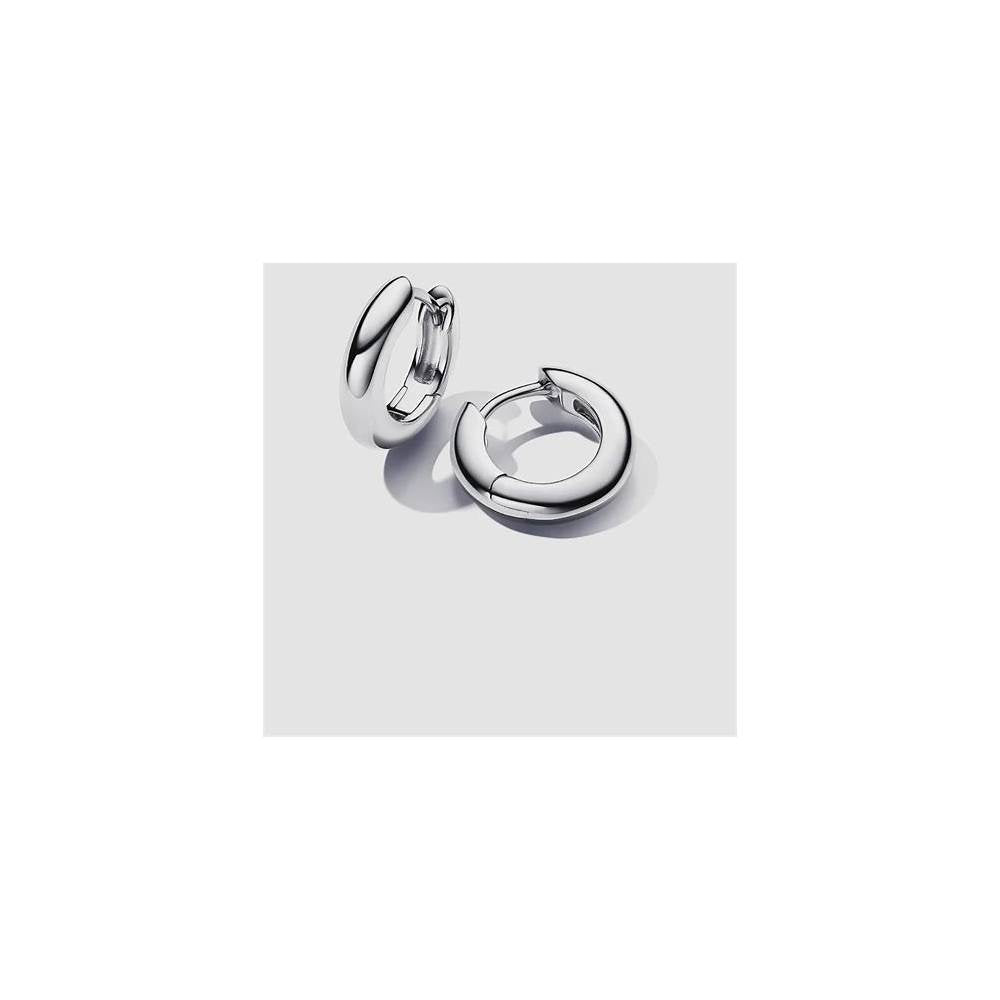 Sterling silver hoop earrings 293320C00 (High Resolution)