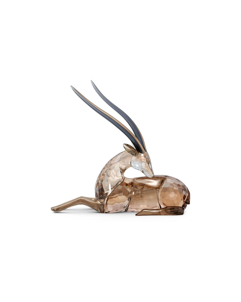 AFRICAN SUNSET:GAZELLE LOOKING RIGHT 5557856