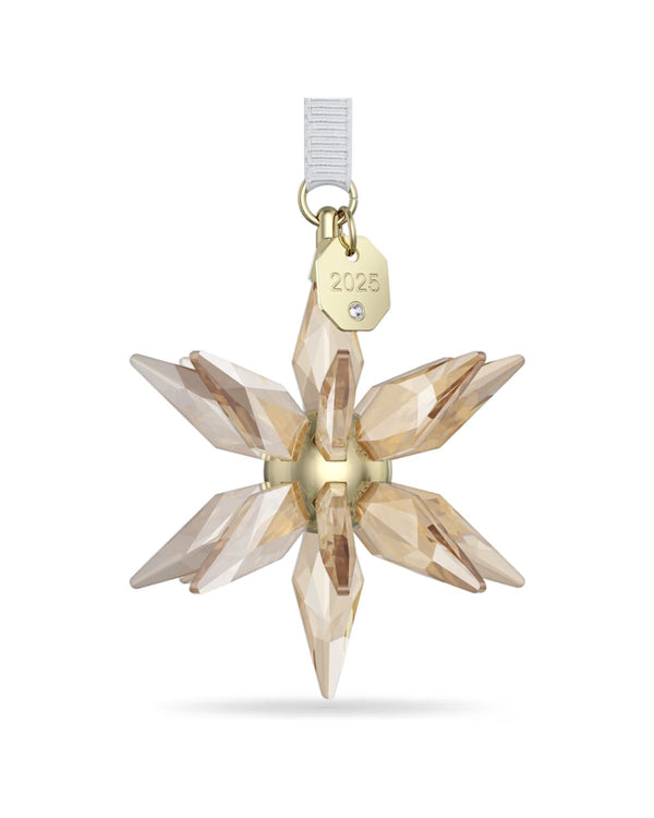 ANNUAL EDITION:ORNAMENT FESTIVE 3D 2025 5701505