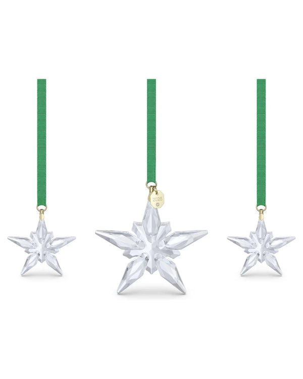 ANNUAL EDITION:ORNAMENT SET 2025 5701854