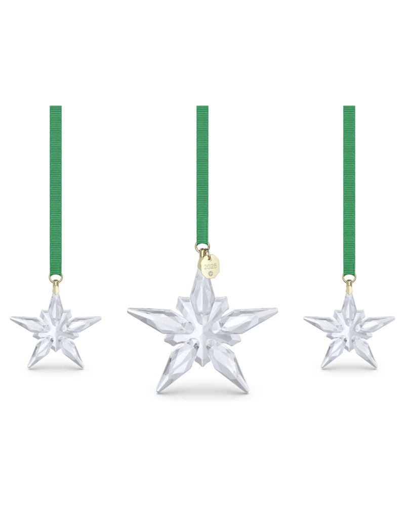 ANNUAL EDITION:ORNAMENT SET 2025 5701854