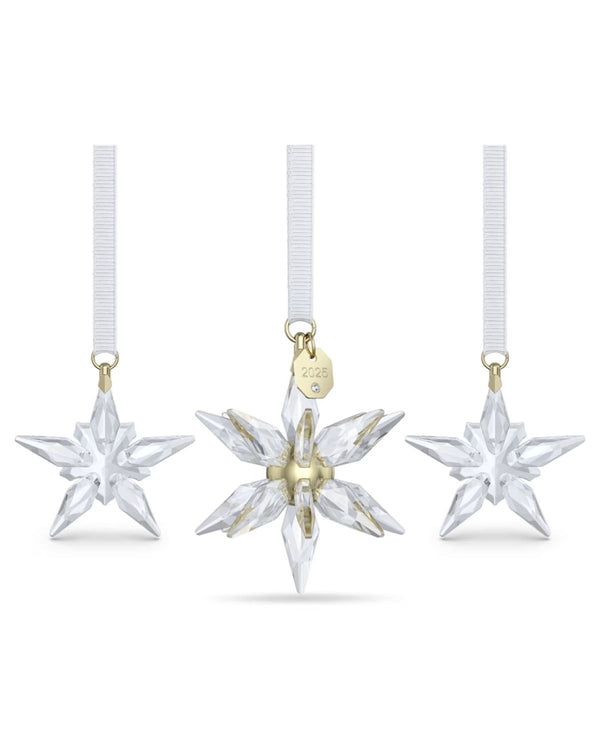 ANNUAL EDITION:ORNAMENT SET 3D 2025 5701628