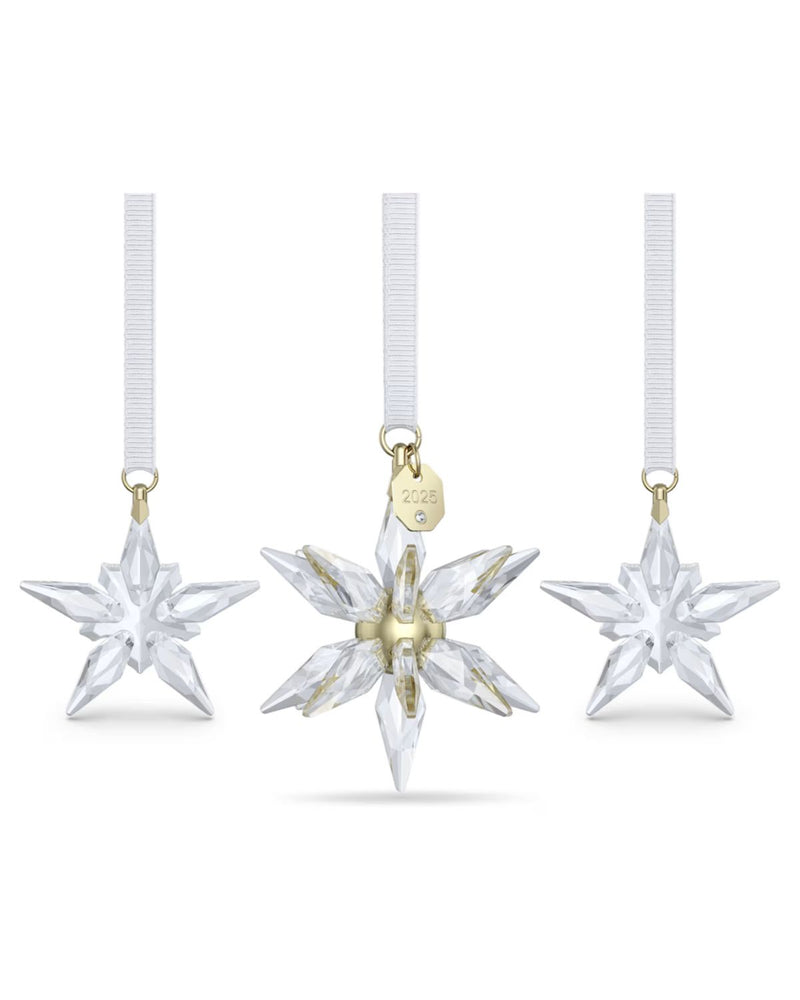 ANNUAL EDITION:ORNAMENT SET 3D 2025 5701628