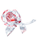 Blossoming Rose Red 5428561