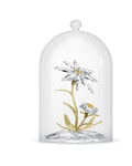 Florere 130th Anniversary Bell Jar 5701376