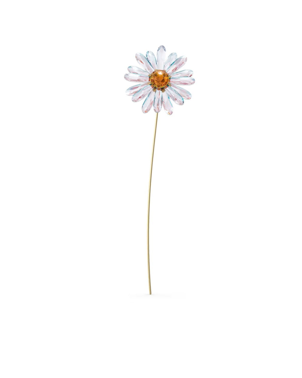 Garden Tales Daisy 5619221