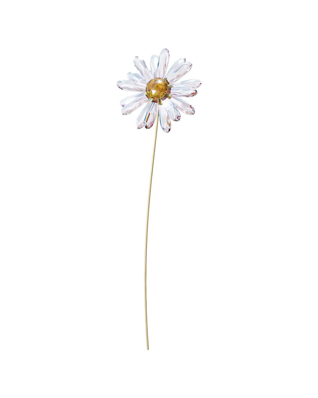 Garden Tales Daisy 5619221