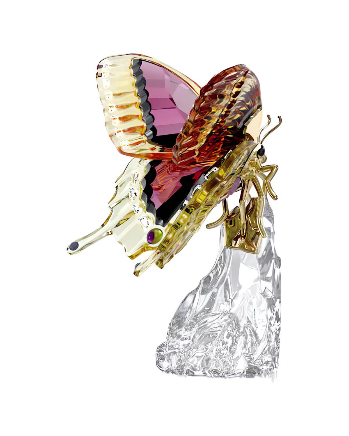 Idyllia Butterfly 5650796