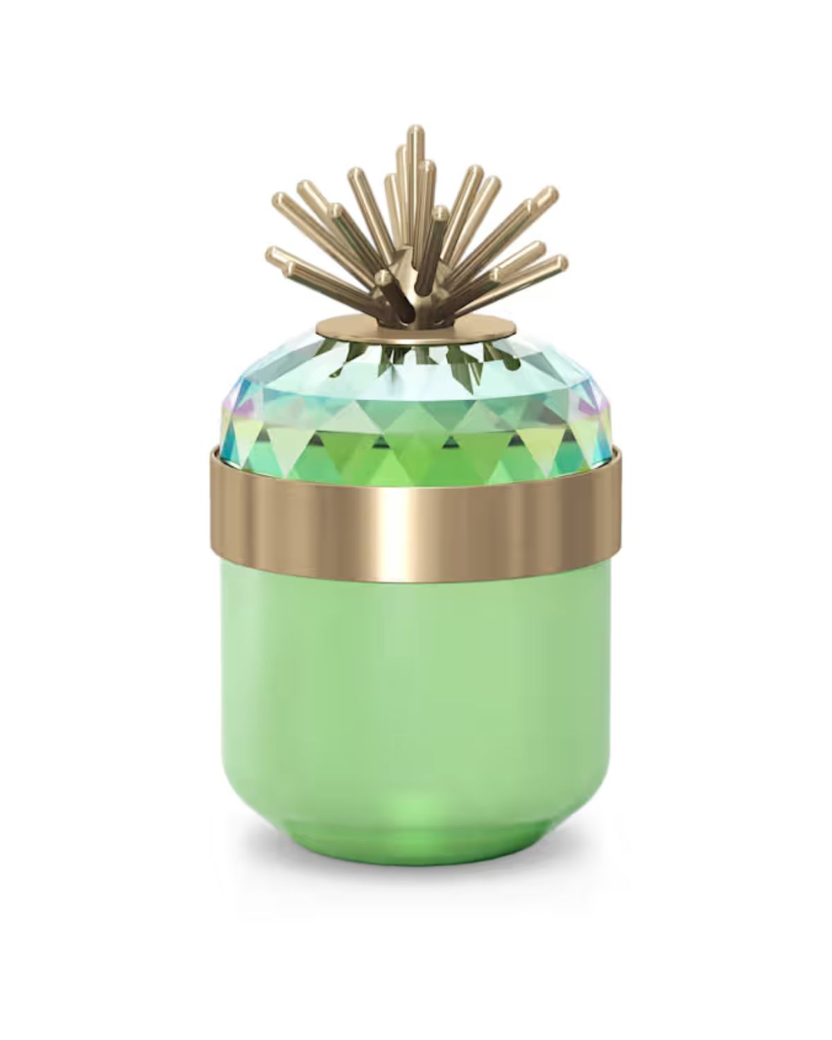 Jungle Beats Decorative Box Andoki 5619216