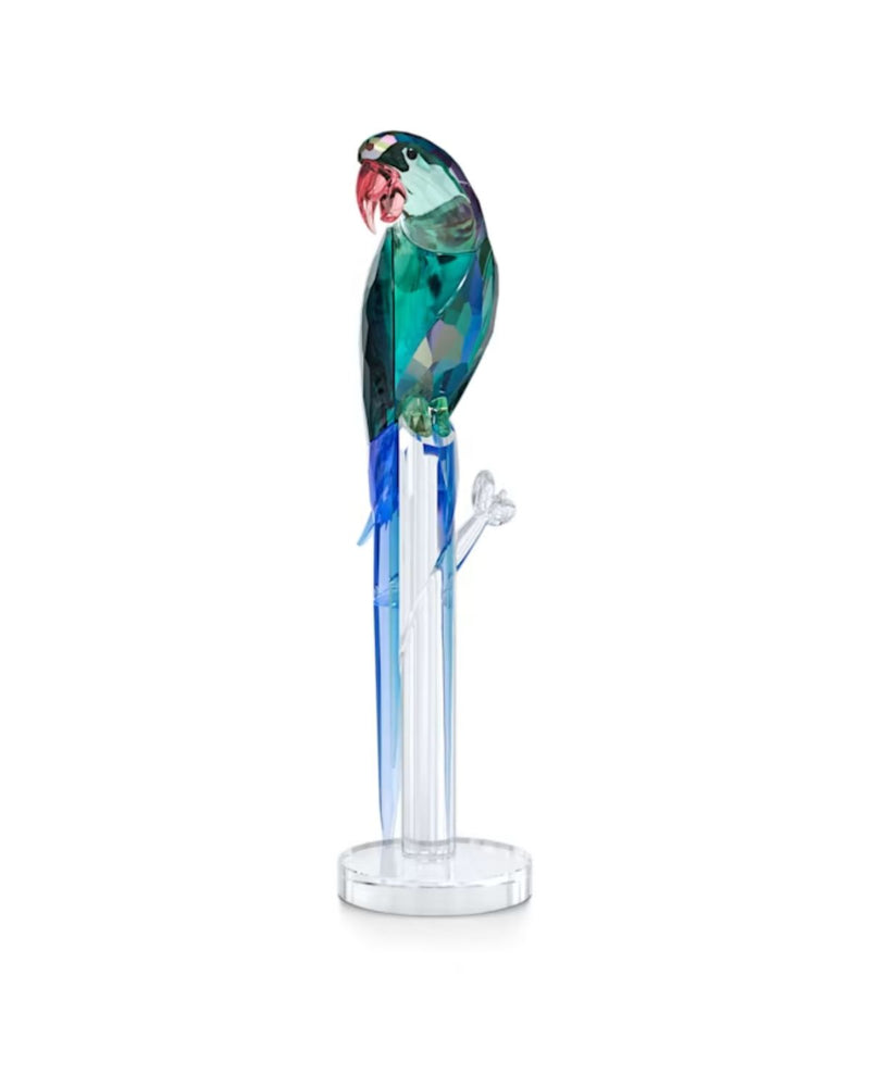 Jungle Beats Green Macaw Banjo