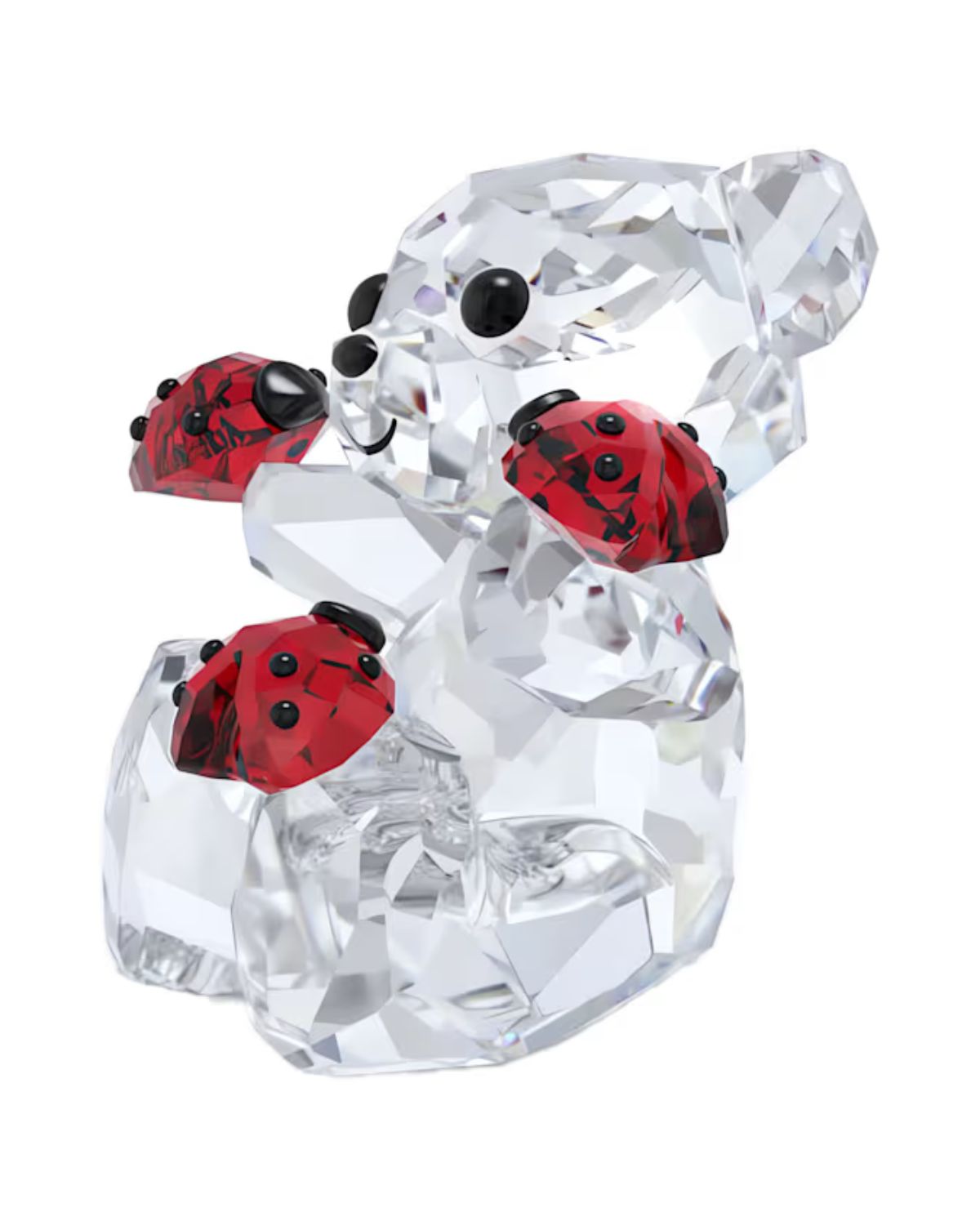 Kris Bear : Good Luck Bear 5675983