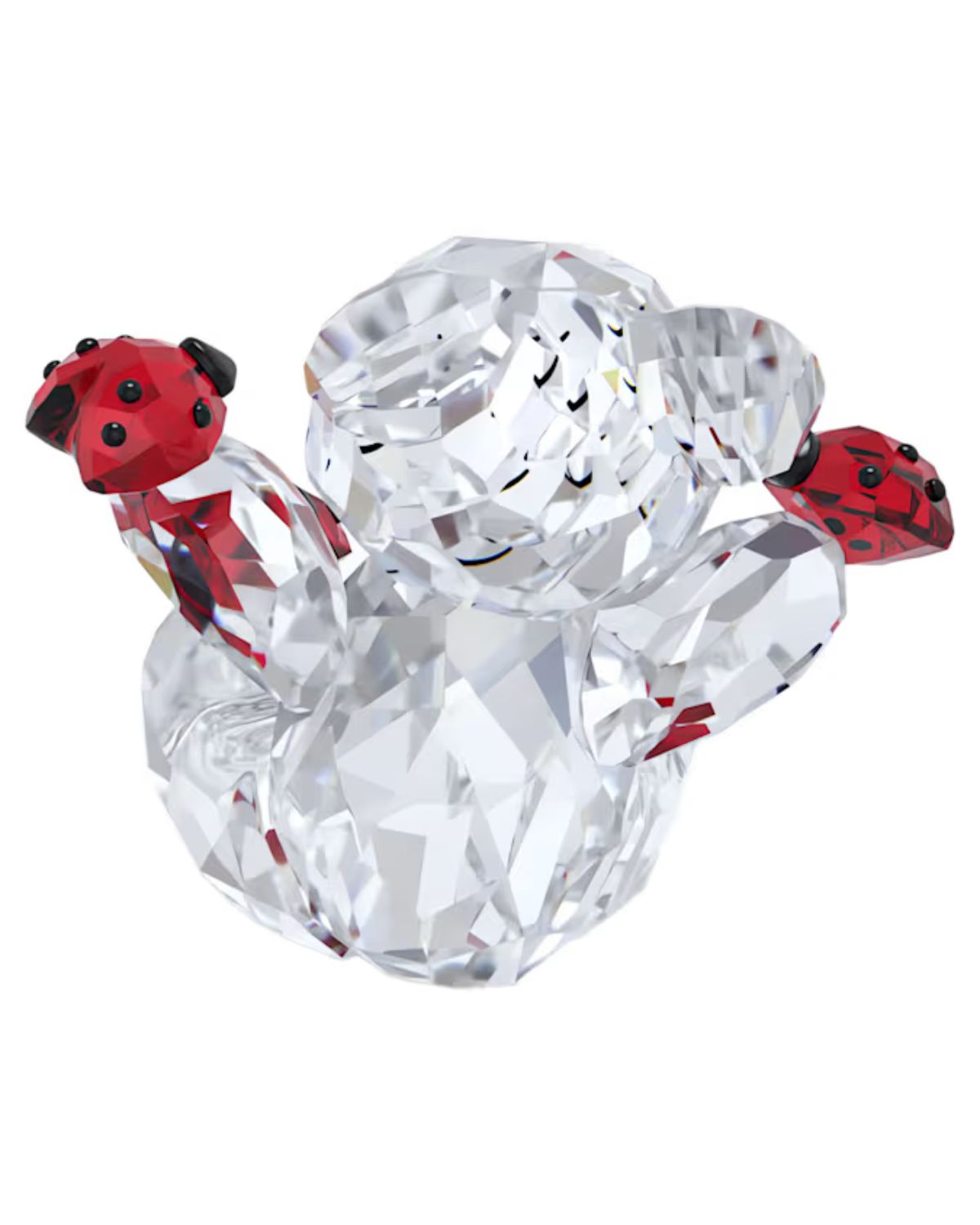 Kris Bear : Good Luck Bear 5675983
