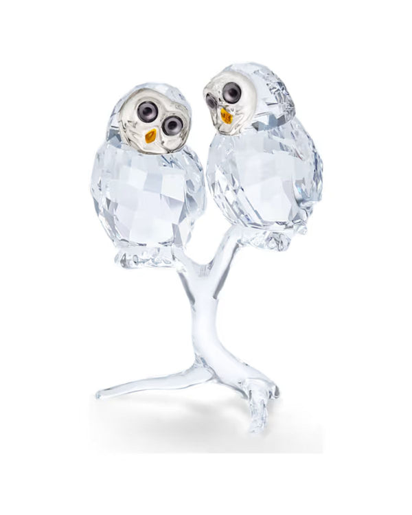 Owl Couple