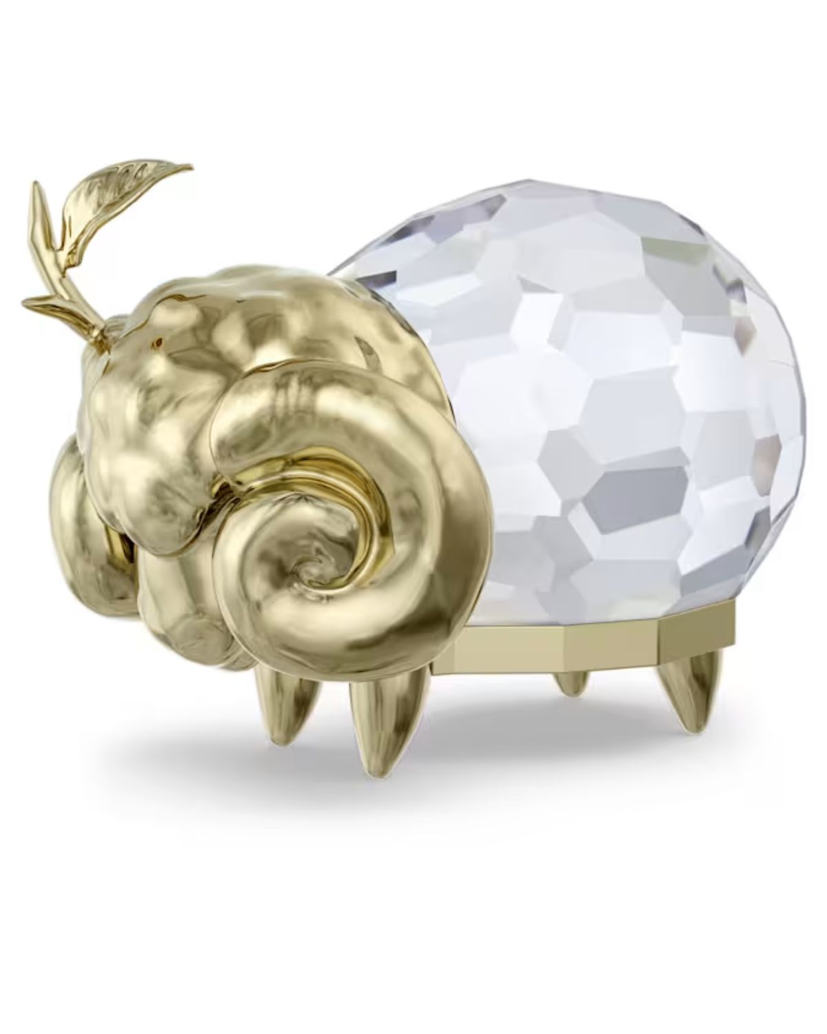 Zodiac Aries 5669957