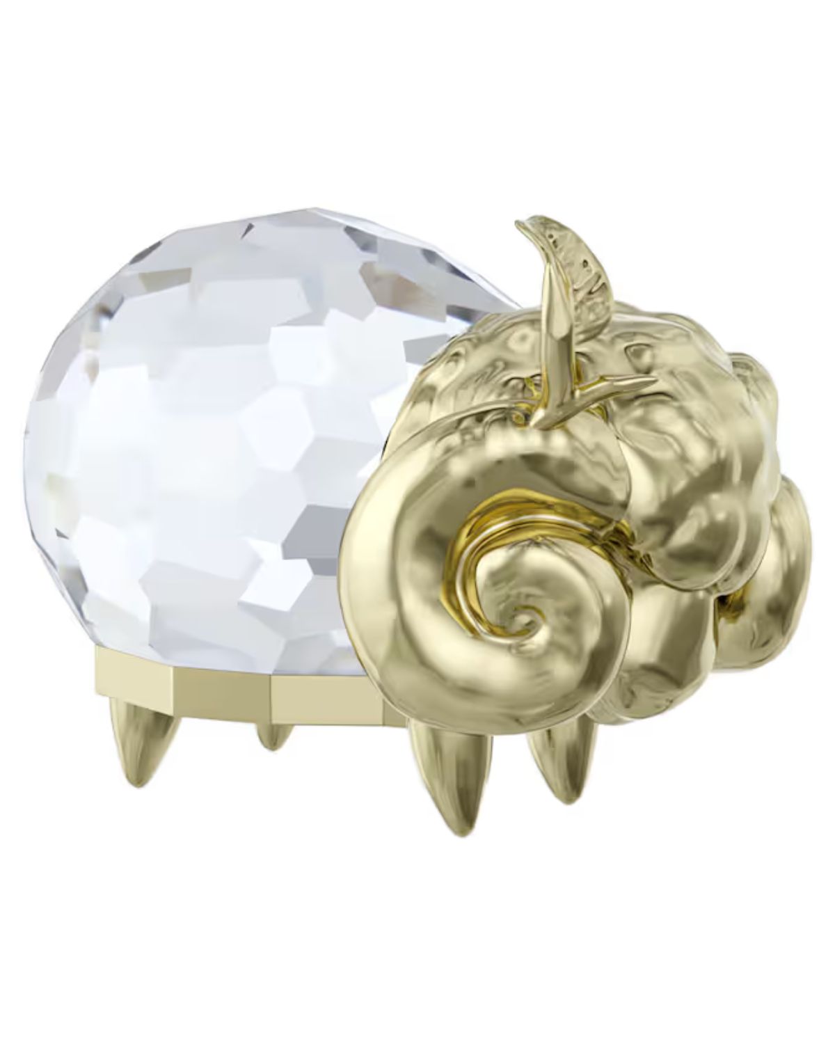 Zodiac Aries 5669957