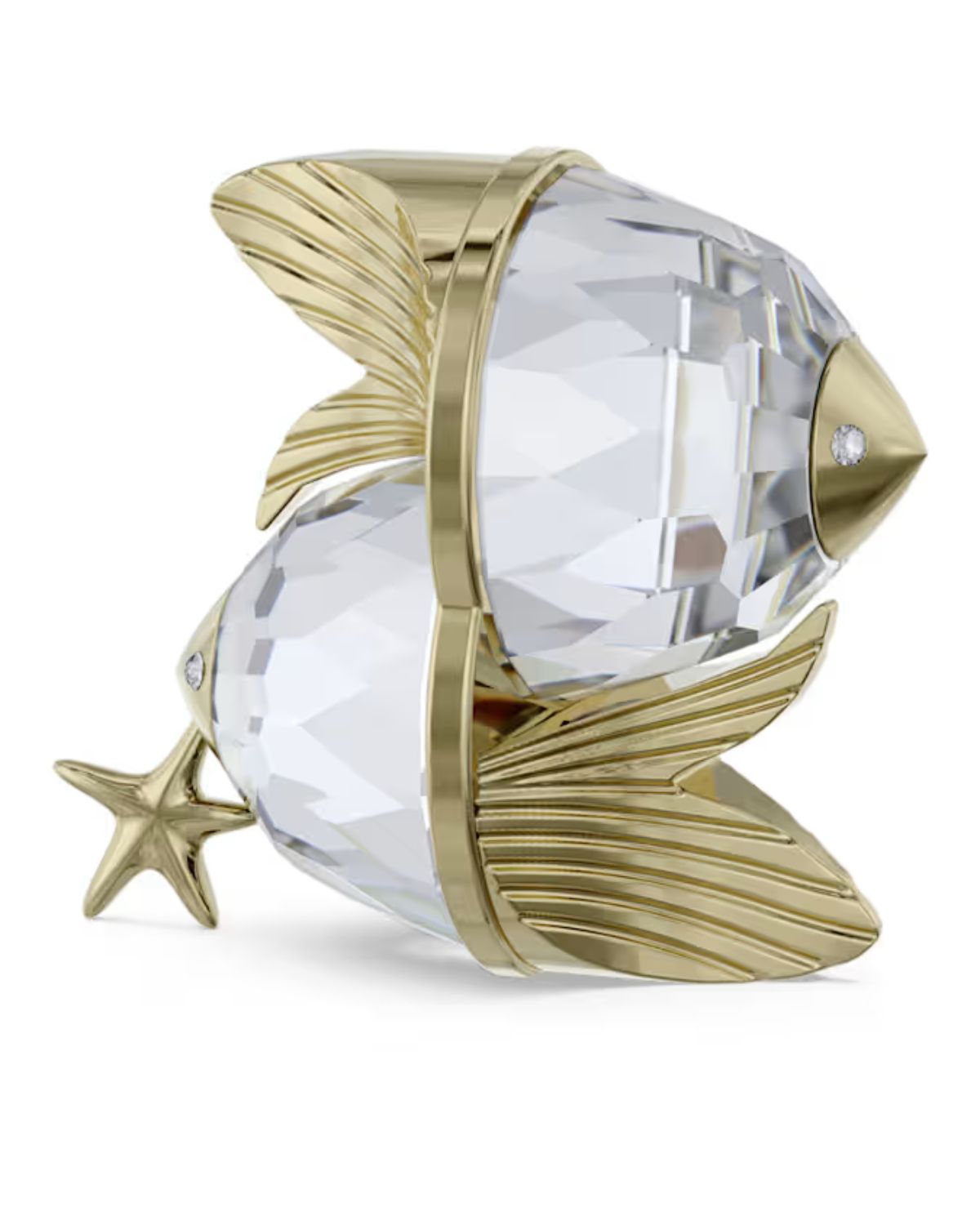 Zodiac Pisces 5670304