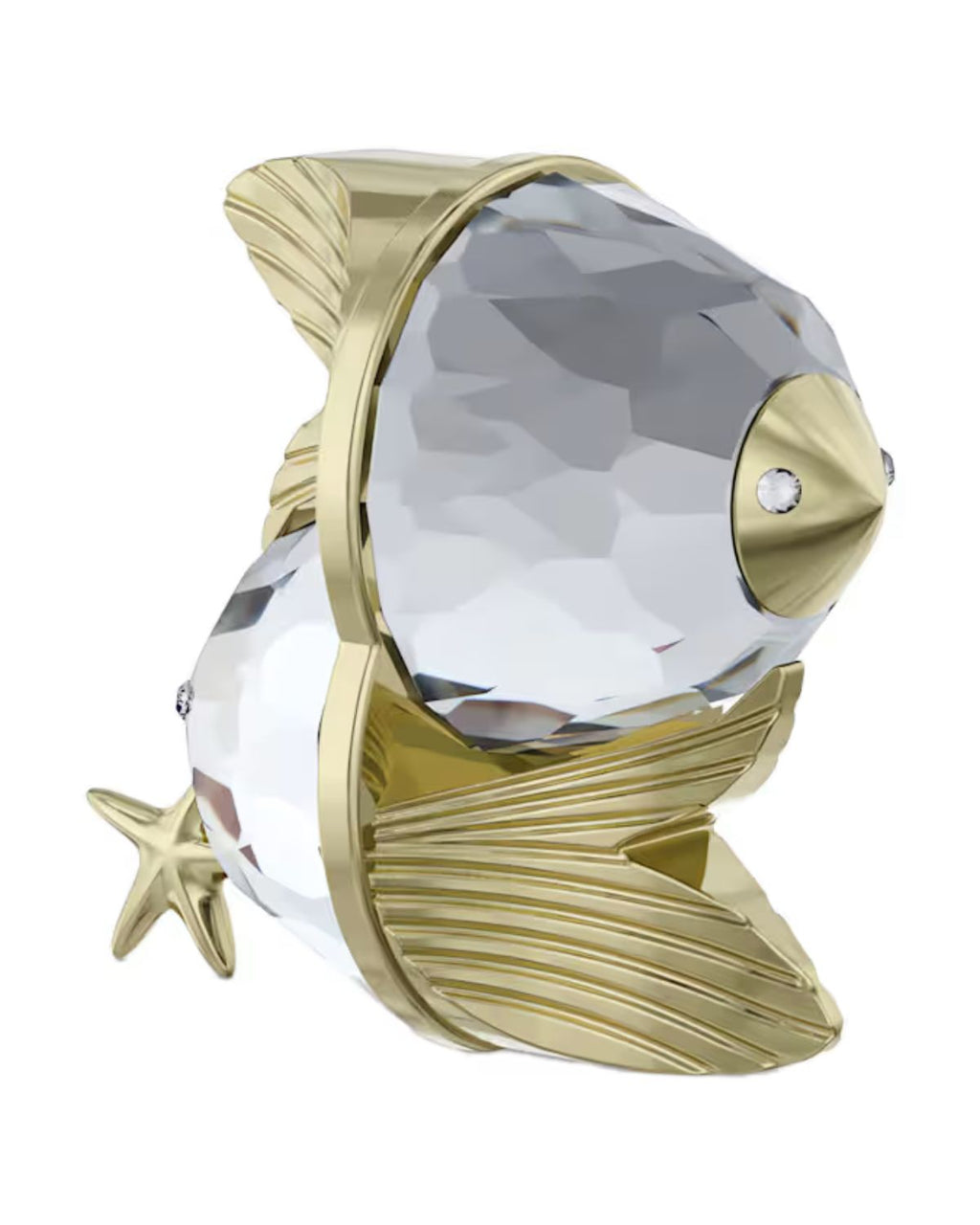 Zodiac Pisces 5670304