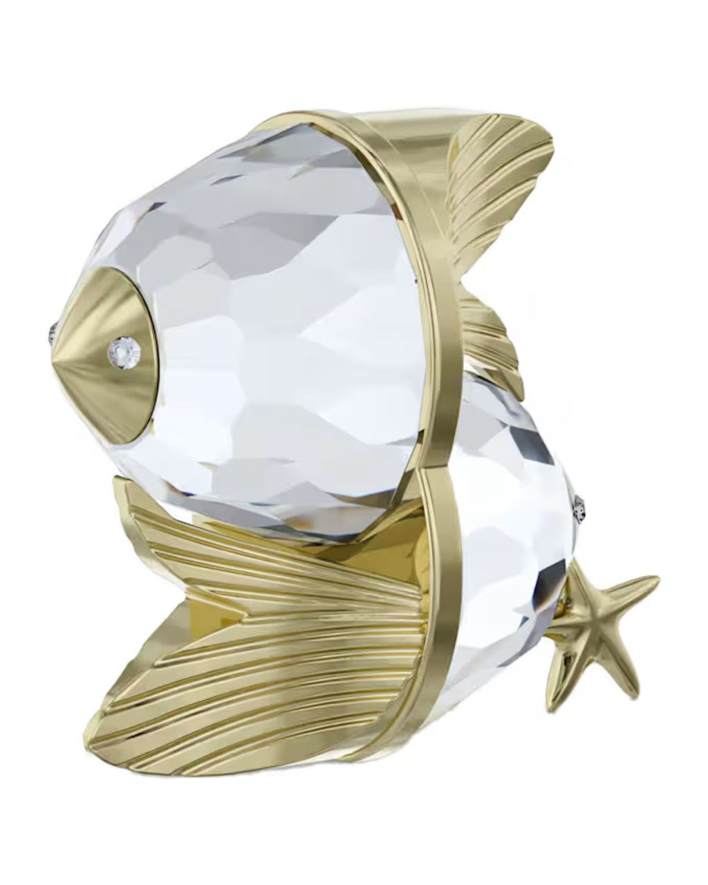 Zodiac Pisces 5670304