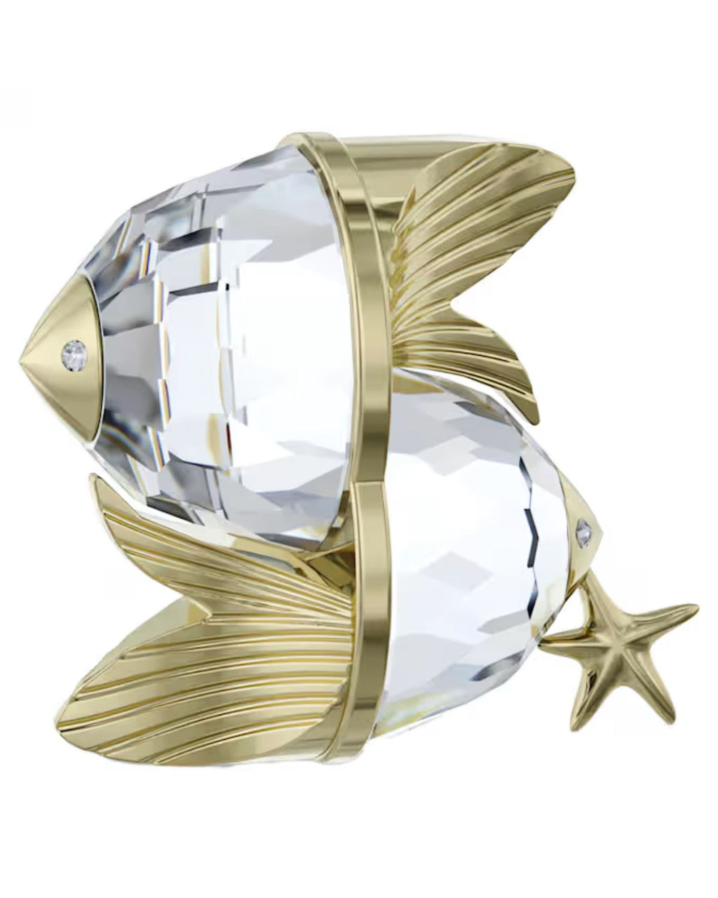 Zodiac Pisces 5670304