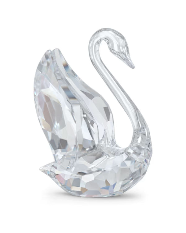 Signum Swan, Small