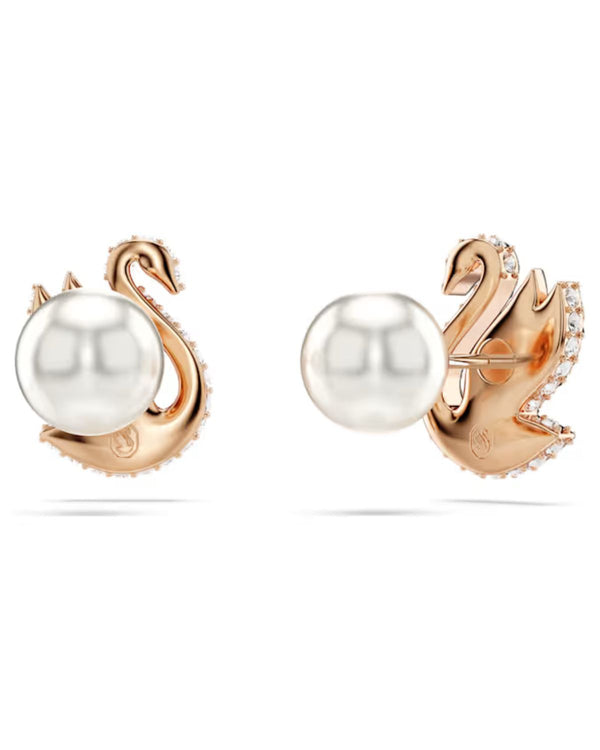 Swarovski Swan stud earrings, Swan, Black, Rose gold-tone plated