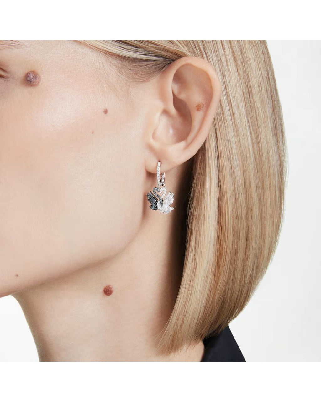 Swan drop earrings Swan, Black, Mixed metal finish 5705728