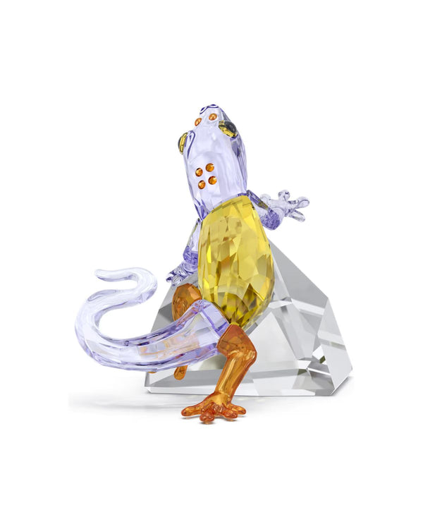 Idyllia Gecko