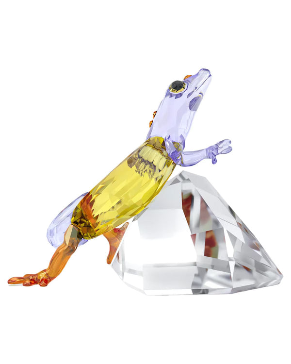 Idyllia Gecko