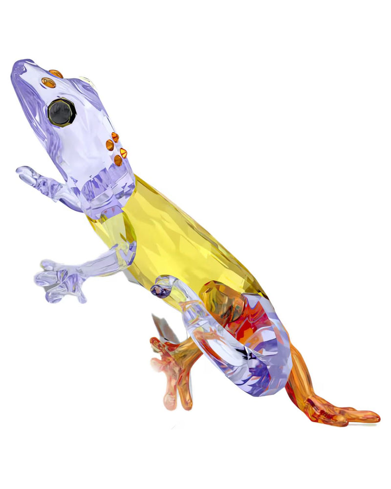 Idyllia Gecko