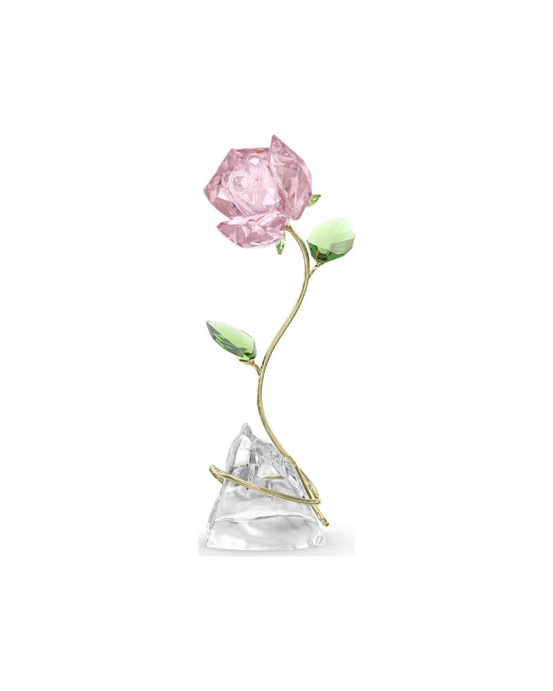 Florere Rose