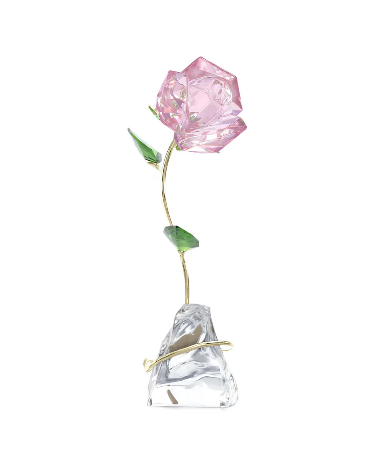 Florere Rose 5666973