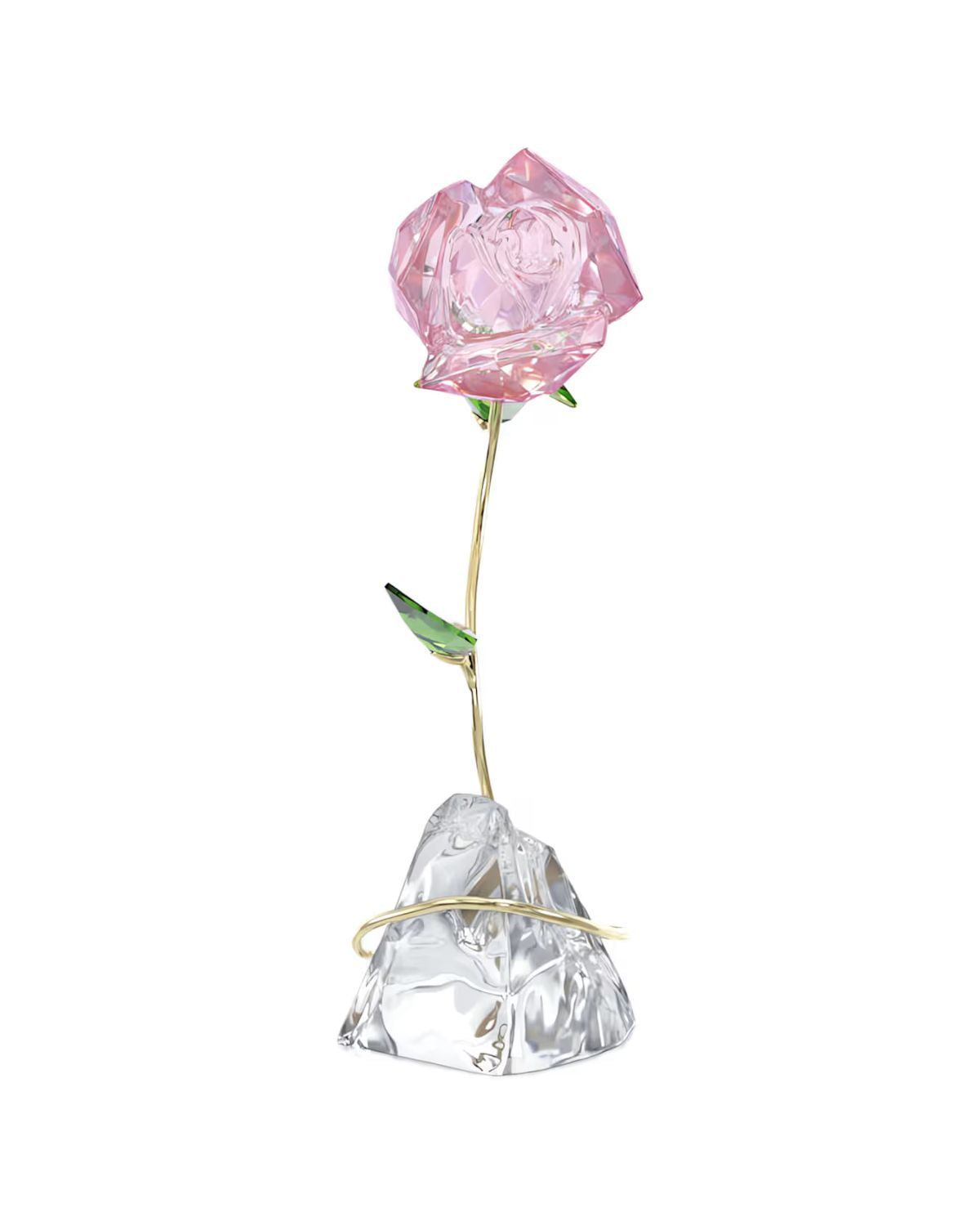 Florere Rose 5666973