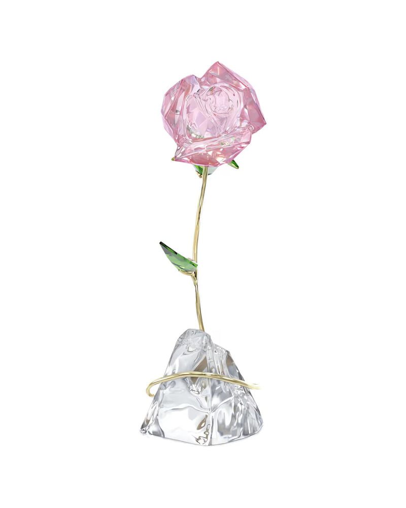 Florere Rose