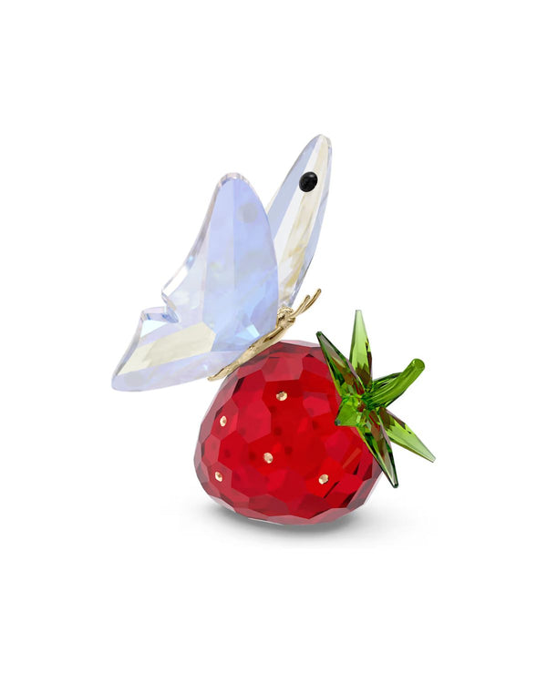 Idyllia Butterfly and Strawberry