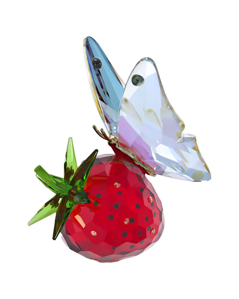 Idyllia Butterfly and Strawberry