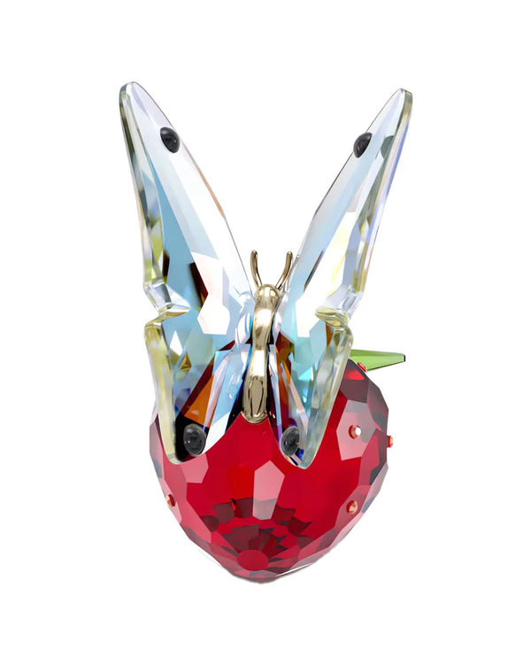 Idyllia Butterfly and Strawberry