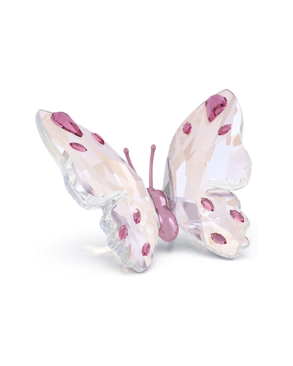 Idyllia Butterfly