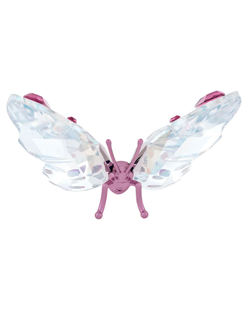 Idyllia Butterfly