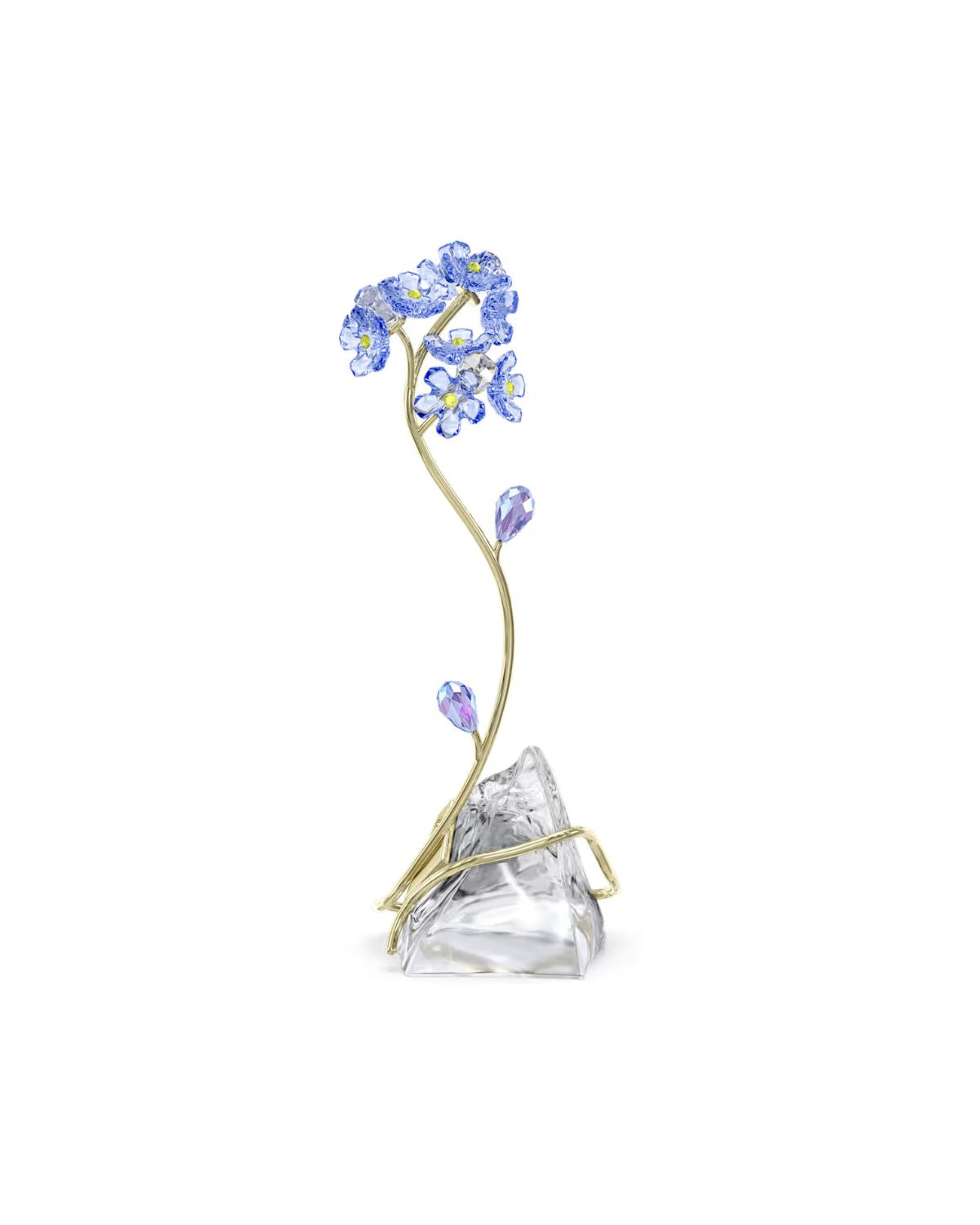 Florere Forget-me-not 5666971