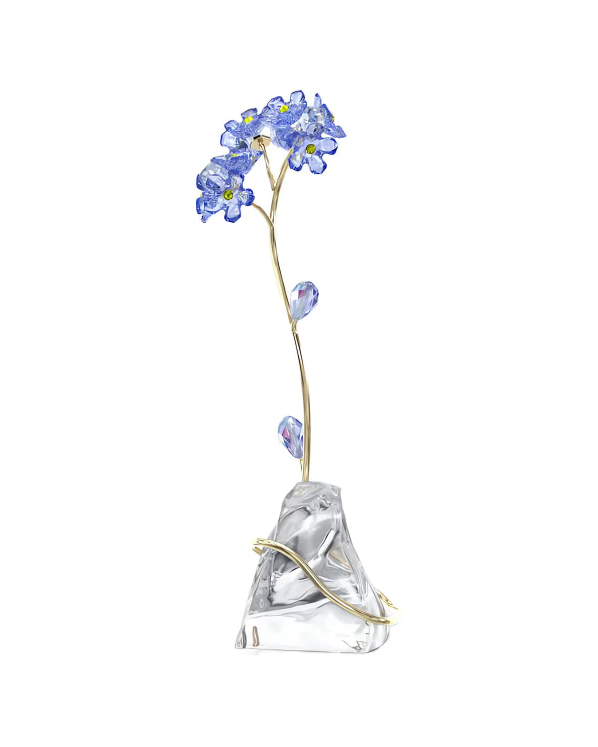 Florere Forget-me-not 5666971